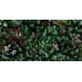 Керамогранит Panaria Zero.3 Glam Greenwall B 50x100