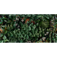 Керамогранит Panaria Zero.3 Glam Greenwall C 50x100