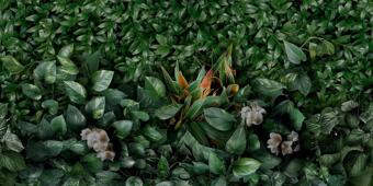 Керамогранит Panaria Zero.3 Glam Greenwall D 50x100