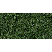 Керамогранит Panaria Zero.3 Glam Greenwall E 50x100