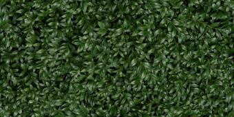 Керамогранит Panaria Zero.3 Glam Greenwall E 50x100