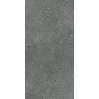 Керамогранит Paradyz Authority Graphite Mat 60x120