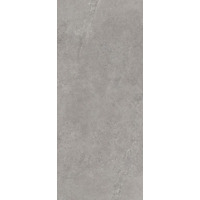 Керамогранит Paradyz Authority Grey Mat 120x280