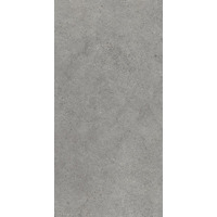 Керамогранит Paradyz Authority Grey Mat 60x120
