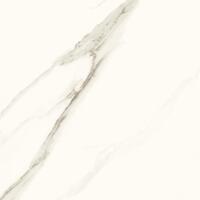 Керамогранит Paradyz Calacatta Poler 59.8x59.8