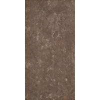 Клинкер Paradyz Ilario Brown 30x60