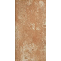 Клинкер Paradyz Ilario Ochra 30x60