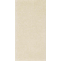 Керамогранит Paradyz Intero Beige 29.8x59.8