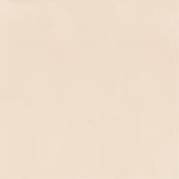 Керамика Paradyz Neve Creative Beige Wall Gloss 19.8x19.8