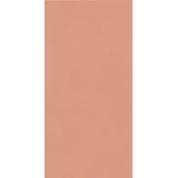 Керамика Paradyz Neve Creative Blush Wall Gloss 9.8x19.8