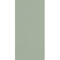Керамика Paradyz Neve Creative Green Wall Gloss 9.8x19.8