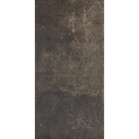 Клинкер Paradyz Scandiano Brown 30x60