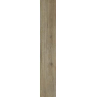 Керамогранит Paradyz Tammi Naturale 29.4x180