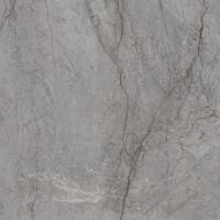 Керамогранит Paradyz Visioner Grey Poler 120x120