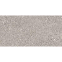 Керамогранит Peronda Manhattan Grey As/C/R 60x120