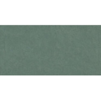 Керамогранит Piemme Ceramiche Homey Sage Nat 60x120