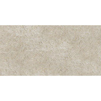Керамогранит Piemme Ceramiche Menhir Grigio 30.1x60.4