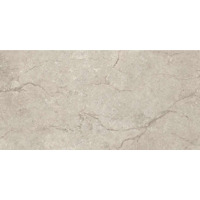 Керамогранит Piemme Ceramiche Stone Concept Argento Lev-Ret 60x119.5