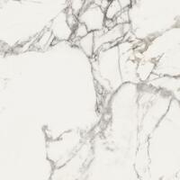 Керамогранит Piemme Valentino Majestic Pure Glorious Arabescato L R 60x60