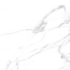 Керамогранит Porcelanosa Artic Nature 59.6x59.6