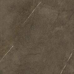 Керамогранит Porcelanosa Assuan Brown 59.6x59.6