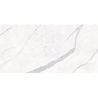 Керамогранит Porcelanosa Baltic Pulido 58.6x118.7