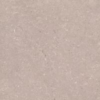 Керамогранит Porcelanosa Coral Topo Ant. L 120x120