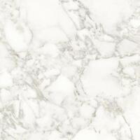 Керамогранит Porcelanosa Dolomiti Pulido 120x120