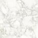 Керамогранит Porcelanosa Dolomiti Pulido 120x120