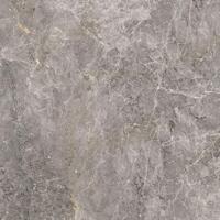 Керамогранит Porcelanosa Elegant Grey Pulido 120x120