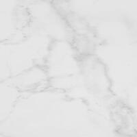Керамогранит Porcelanosa Marmol Carrara Brillo 43.5x43.5