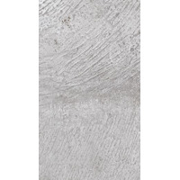 Porcelanosa Park Gris 25x44.3