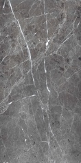 PR208 Ardesia Grafito Polished 600x1200