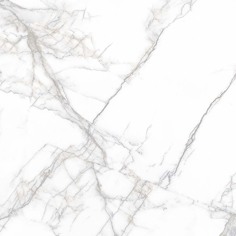 PR114 Arena White Polished 600x600