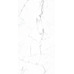 PR206 Colonial White Polished 600x1200 - фото в интерьере