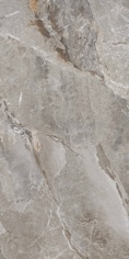 PR209 Essence Grey Polished 600x1200