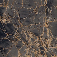 GR101 Golden Black High glossy 600x600