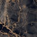 GR101 Golden Black High glossy 600x600 - фото в интерьере