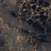 GR101 Golden Black High glossy 600x600 - фото в интерьере