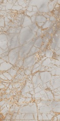PR212 Golden Grey High glossy 600x1200