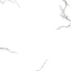 PR124 Kalos Bianco Polished 600x600