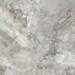 PR123 Mezza Grey Polished 600x600