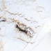 PR116 Namibian Marble Polished 600x600 - фото в интерьере
