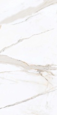 PR203 Regal Carara Polished 600x1200