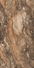 GR204 Richter Brown High glossy 600x1200
