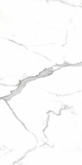 PR207 Salvatore Polished 600x1200