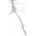 PR207 Salvatore Polished 600x1200 - фото в интерьере