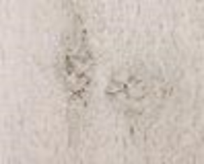 MC105 Hainich white 14,8x60