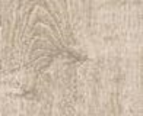 МС113 Aged OAK white 14,8x60