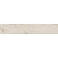 Керамогранит Provenza Alter Sbiancato 20x120